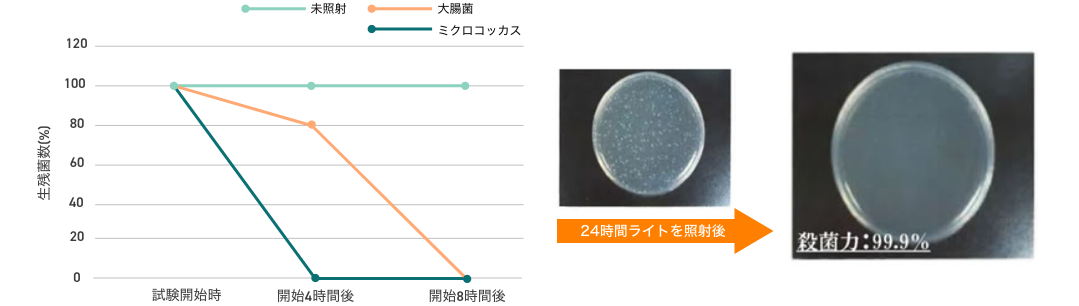 大腸菌・黄色ぶどう球菌を99.9％除菌 抗菌 照明