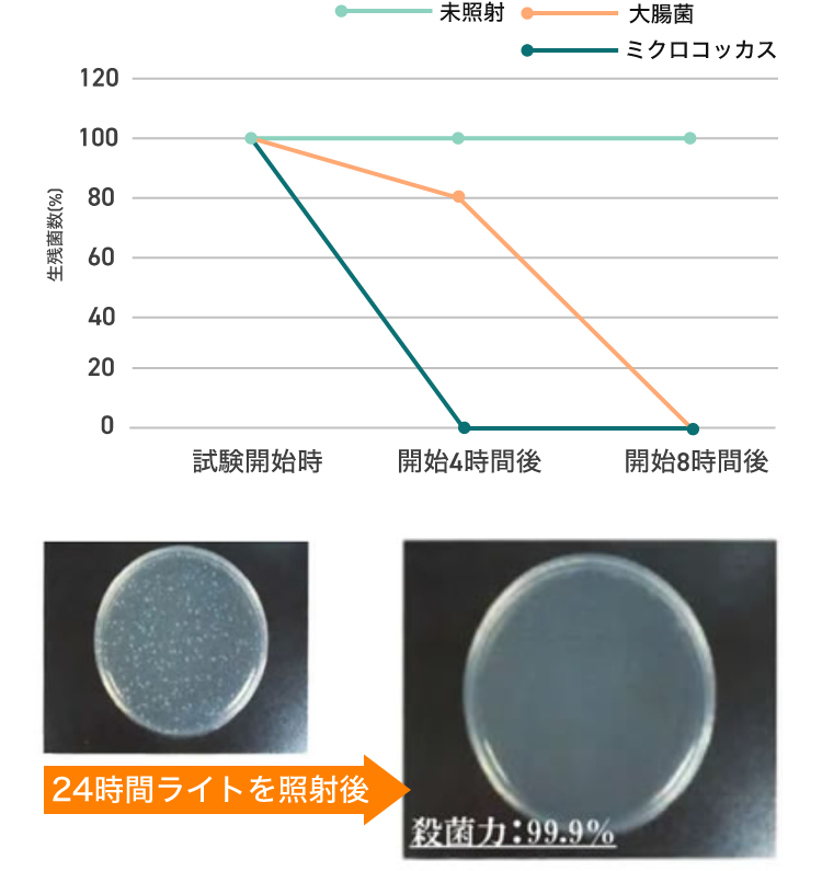 大腸菌・黄色ぶどう球菌を99.9％除菌 抗菌 照明