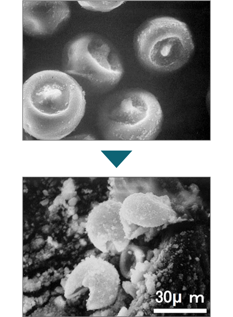 花粉症の原因物質を分解 抗菌 照明